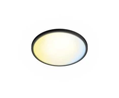 Lubinis šviestuvas Šviestuvas lubų Philips, 22 W, LED, 2200 - 6500 °K