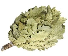 Miesto lauko pirties šluotelė „WHISH OAK LUX FLAMMIFERA“