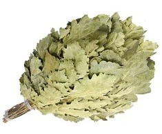 Miesto lauko pirties šluotelė „WHISH OAK LUX FLAMMIFERA“