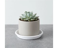 Plast. vazono lėkštė DOMOLETTI STTE0013-110. DIA13 cm. balta