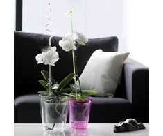 Prosperplast Vazonas orchidėjoms Coubi 13x16cm, 1.5L, skaidrus violetinis