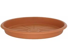 Puķu poda šķīvis Domoletti STTE0017-100, brūna krās., 17 cm