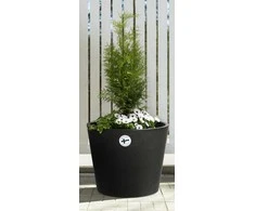 4Living Termo sėjamoji Piccolo 39 cm juoda