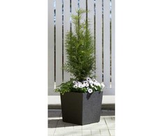 Gėlių vazonas 4Living Termo 276392, polipropilenas, pp, juodas