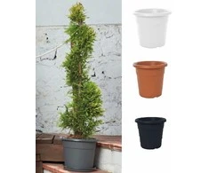 Puķu pods Domoletti MA000040, plastmasa, pelēka krās.