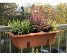 Puķu pods Domoletti TBTISB40-100, plastmasa, 40 cm x 17 cm, brūna krās.