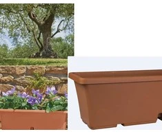 Puķu pods Domoletti TBTISB60-100, plastmasa, 60 cm x 17 cm, brūna krās.