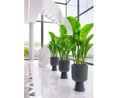 FORM PLASTIC Gėlių vazono forma plastikinė KELI MIKA 5130-014, plastikas, antracito spalvos