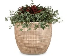 Scheurich FLOWER POT 866/19 CANELA D19