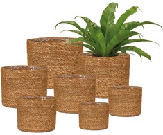Scheurich POT SEAGRASS 508/22 NUT D22
