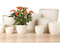 Gėlių vazonas Scheurich Creme 28334, keraminis, smėlio spalvos