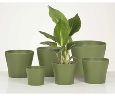 Scheurich Dekoratyvinis gėlių vazonas Oliva Ø13cm H11.2cm keraminis/žalias