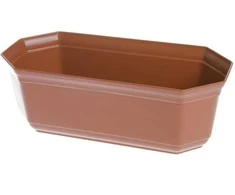 Plastikinė kaktusinė Uniplastex, 24,1 x 11,9 cm