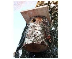 Inkilas SN BIRDHOUSE. 18×15×15 cm. zylėms