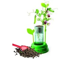 Kūrybos rinkinys Clementoni Botany 50924