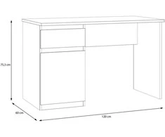 Domoletti DESK Baltas 60X120X75.3
