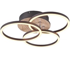 REALITY Lubų šviestuvas Trio Circle R62823135, LED, 2700 - 6000 °K, 1 x 27 W