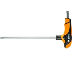 RICHMANN Raktas Torx T25 T formos, 100 mm ilgio