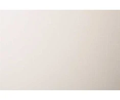 Domoletti ROLLER BLIND SHANTUNG 875 100X170