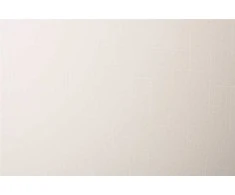 Domoletti ROLLER BLIND SHANTUNG 875 220X170