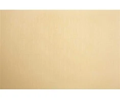 Domoletti ROLLER BLIND SHANTUNG 877 100X170