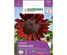Saulėgrąžų sėklos Garden Center VAKARO SAULĖ, 2 g