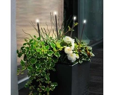 Įsmeigiamas lauko šviestuvas Viokef Bar, 1W, LED, IP65, juoda sp., 1 cm x 50 cm