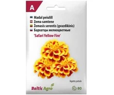 Sėklas Baltic Agro samtenes Safari Geltona, 6 g