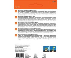 Sėklos Garden Center dygstančios garstyčios Baltas CANDY, 10 g