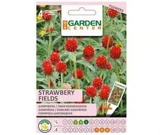 Sėklos Garden Center gomphrena Braškių laukai, 0,7 g