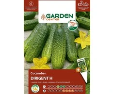 Sėklos Garden Center, agurkai DIRIGENT H, 10 vnt.