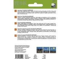 Sėklos Garden Center, agurkas TELEGRAPH IMPROVED, 0,3 g