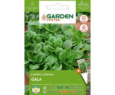 Sēklos Garden Center, itališkos salotos GALA, 1 g