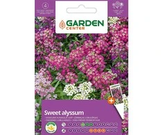 Jūros sidabražolės sėklos Garden Center, 0,5 g