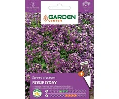 Sėklos Garden Center tamsiai mėlyna sidabražolė Rosie O'Day, 0,5 g