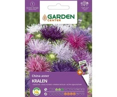 Sėklos Garden Center Kininė astra Kralen, 0,5 g