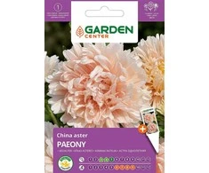 Sėklos Garden Center Kininis astras Paeony, 0,5 g