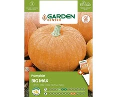 Sėklos Garden Center, moliūgas BIG MAX, 2 g