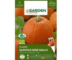 Sėklos Garden Center, ežiukas QUINTALE SEME Geltonas, 2 g