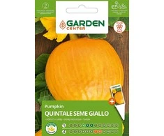 Sėklos Garden Center, ežiukas QUINTALE SEME Geltonas, 2 g
