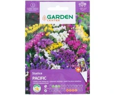 Limonium Garden Center sėklos, 0,1 g