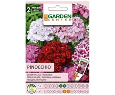 Garden Center Garden_Cente Šiurpinių gvazdikų PINOCCHIO sėklos