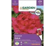 Pelargonijų EVA H sėklos Garden Center, 5 vnt.