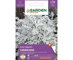 Sėklos Garden Center pilkalapio kryžmažiedžio Candicans, 0,2 g