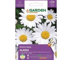 Aliaskinės pušies Garden Center sėklos, 0,2 g
