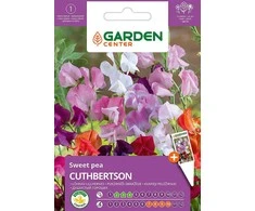 Garden Center Plačiagalvės Cuthbertsono sėklos, 2 g