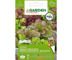 Sėklos Garden Center, salotos Bionda a Foglia Riccia/Biscia Rossa, 5 g