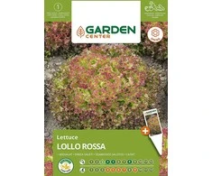 Sėklos Garden Center, salotos LOLLO ROSSA, 1 g