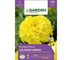 Sėklos Garden Center Velvet CALANDO LEMON, 0,5 g