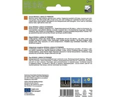 Sėklos Garden Center, svogūnai ROSS LUGANDI FIRENCE, 2 g